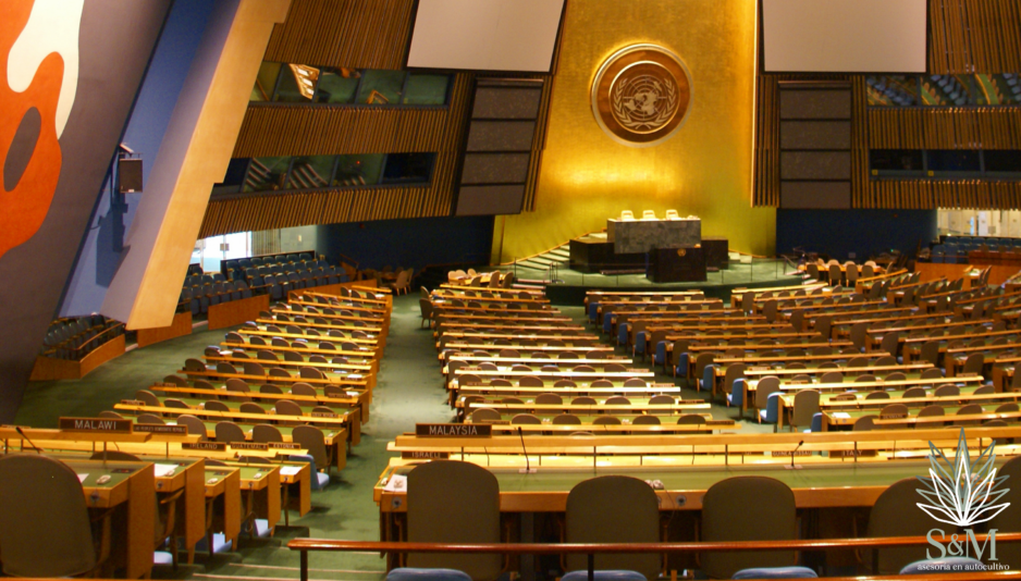ONU reconoce oficialmente las propiedades medicinales del cannabis