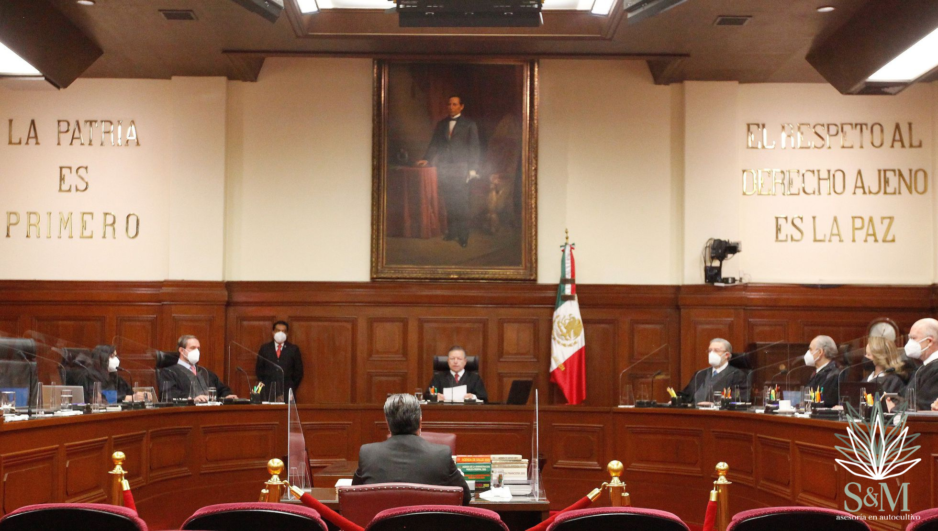 La Suprema Corte da vía libre al uso recreativo de la marihuana en México